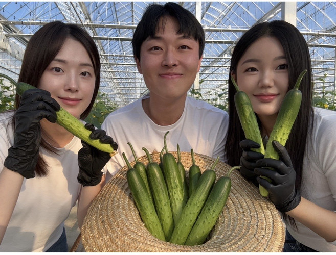 [프리미엄 오이 특 상 등급] 경북상주 백다다기오이 오이지 오이 백오이 당일수확, 2kg