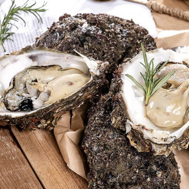 바위굴 통영 자연산 벚굴 산지직송, 1개, 10kg (11~15미 내외)