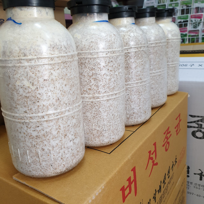 느타리버섯종균, 1개, 1100ml