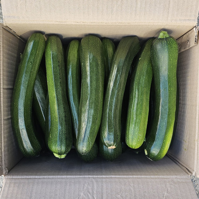 클릭마켓 국내산 쥬키니호박 주키니호박 못난이호박, 1박스, 상 5kg