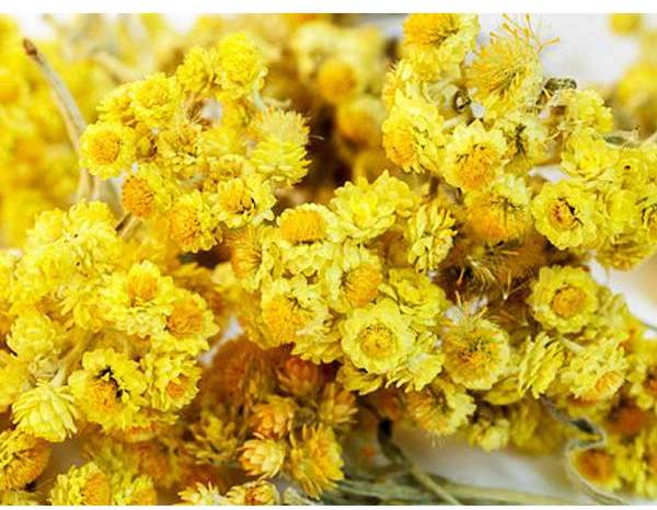 ND 3% 永久花精油(蠟菊) 3% 檀香精油 橙花 分裝罐 美國製造, 1個, 3%檀香30ml