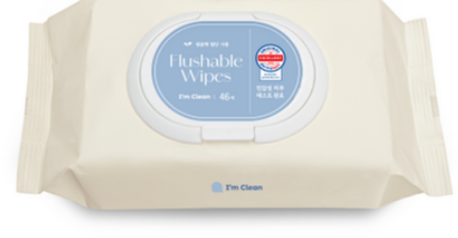 아임클린 화장실전용 비데 물티슈 캡형, 46매, 20개