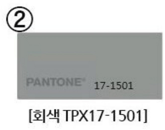 노루페인트 팬톤 무광 수성페인트 외부 실외 벽 도색 도장 도료 회색 1L 4종 택1, 색상, 회색17-1501, 1개