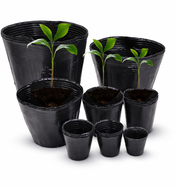 비닐컵포트 모종 식물재배용화분, 200개, 블랙