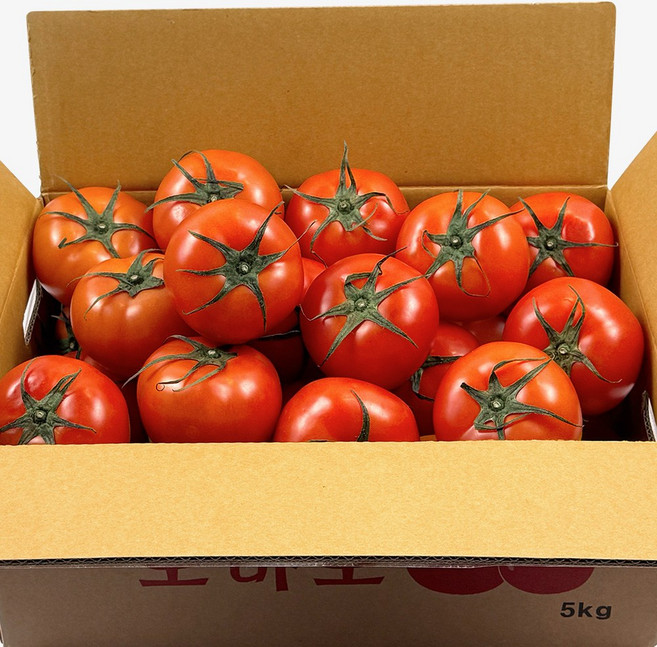 [계절로] 당일작업 산지직송 싱싱한 완숙 찰 토마토, 1박스, 5kg