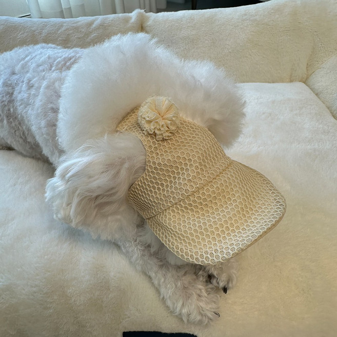 스카이몰 폼포미 메쉬 썬캡, 1개, 베이지