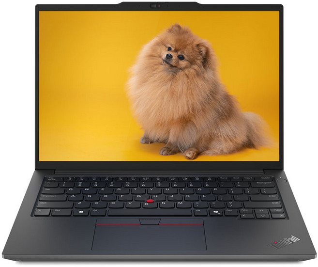 레노버 2025 씽크패드 E14 G6 라이젠7 라이젠 7000 시리즈, Black, 512GB, 16GB, WIN11 Pro, 21M3006UKD