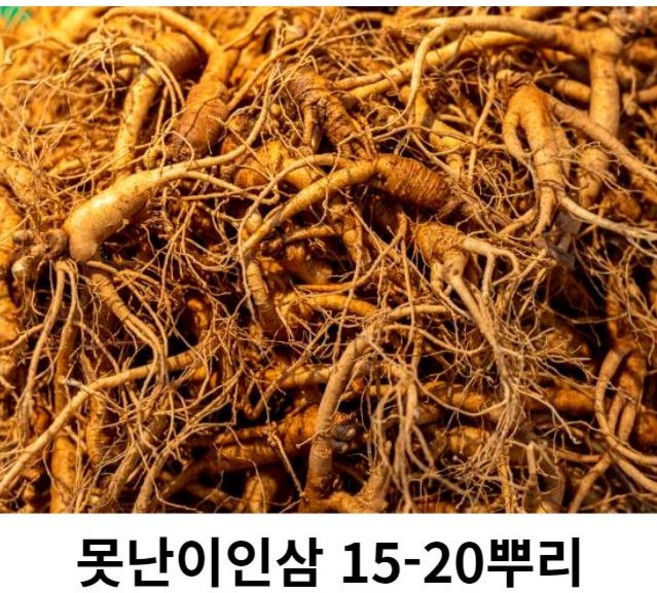금산인삼파삼 수삼파삼가정용 5년근 6년근 500g 15-20뿌리, 1개
