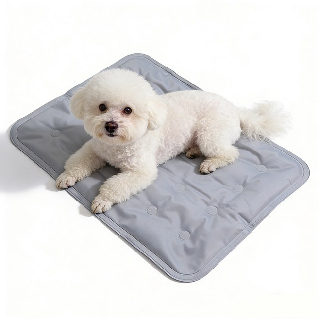 디엔피오 강아지 고양이 여름 쿨매트 가족공용 다용도 양면 매트, 1개, 그레이