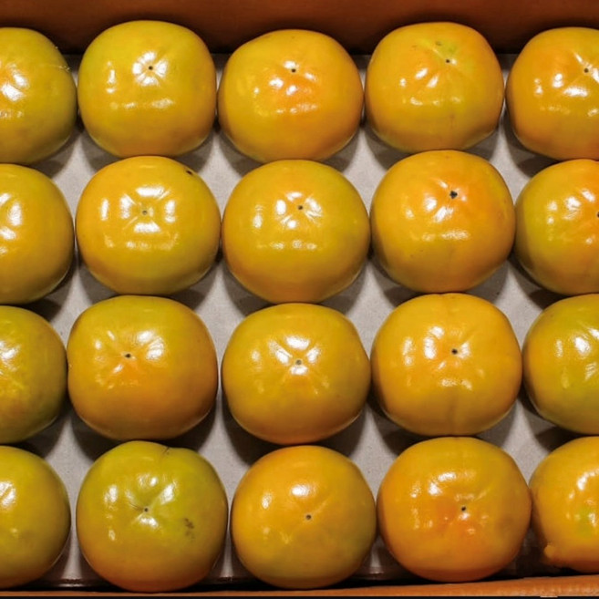 [단감 달아요] 아삭킹 달디달디 단감킹, 1박스, 10kg (대과)