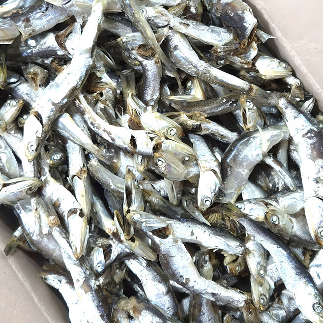 [백송식품]품질좋은 국산 햇 다시멸치 1.5kg 육수용멸치, 1개