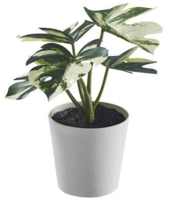 IKEA FEJKA 人造盆栽 龜背芋, E款 龜背芋, 6 公分 單件, 1個