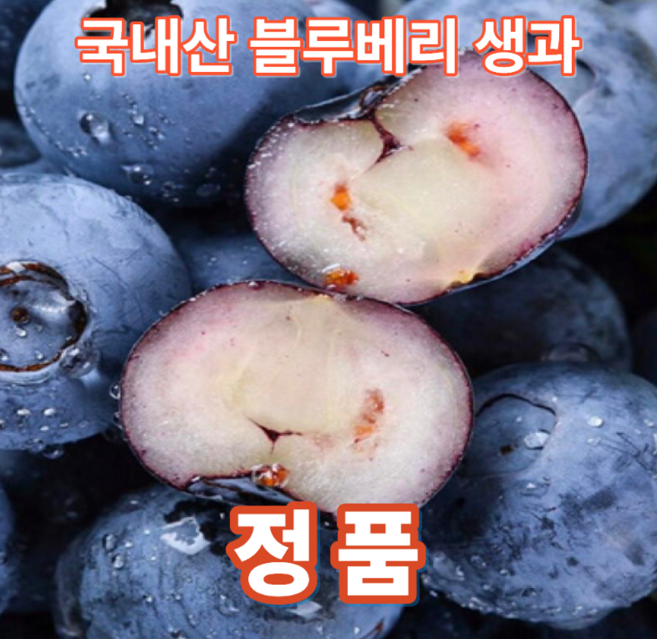 서비네 산지직송 국내산 블루베리 생과, 10개, 소과 100g 팩