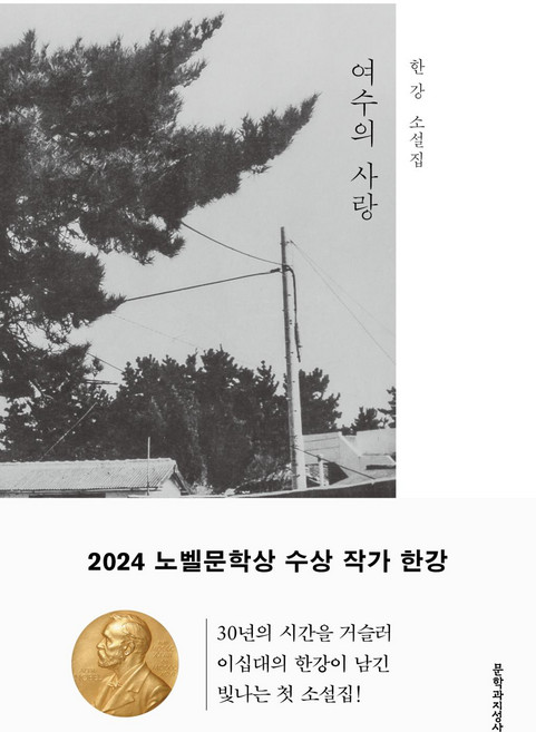 여수의 사랑 - 2024 노벨문학상 수상 작가 한강 저자 책, 문학과지성사