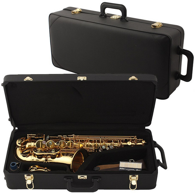 가죽형 색소폰케이스 알토케이스 가방 악기가방 엘토