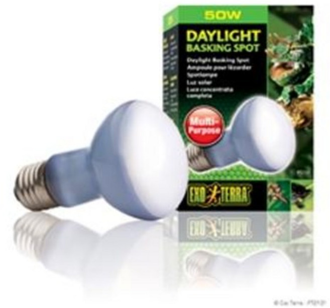엑소테라 데이라잇 바스킹 스팟램프 50w 파충류램프/파충류히터/도마뱀/거북이/겨울/방한용품, 1개