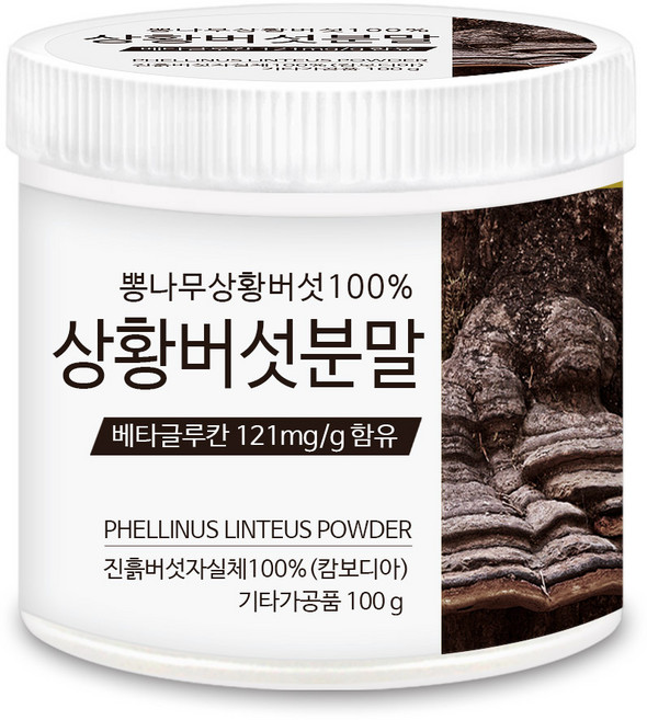 푸른들판 뽕나무 상황버섯 가루 분말 100% 베타글루칸 상황버섯 차 캄보디아, 1개, 100g