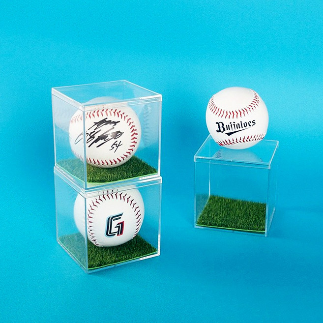 청년리빙 잔디 야구공 케이스 싸인볼 보관함, 케이스+잔디 1세트, 1개