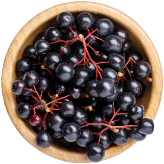 굿피플 아로니아 냉동아로니아 국산아로니아 햇아로니아, 1개, 냉동 아로니아 특품 (줄기/꼭지제거) 10kg