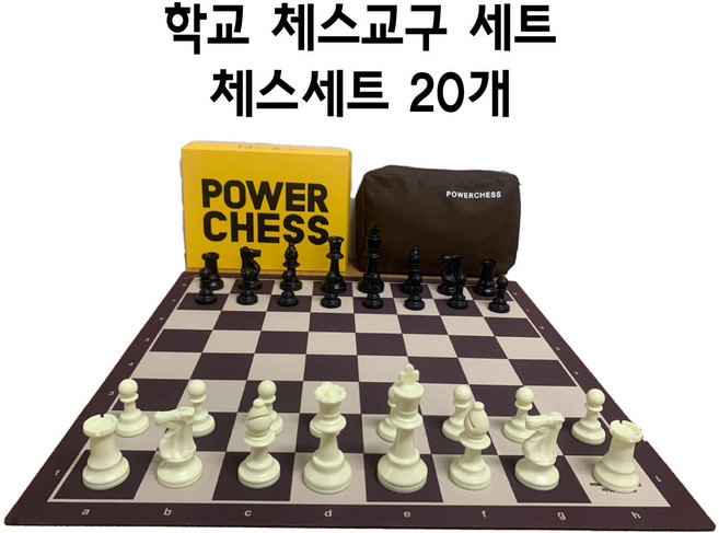 학교 체스 교구 세트, 1개