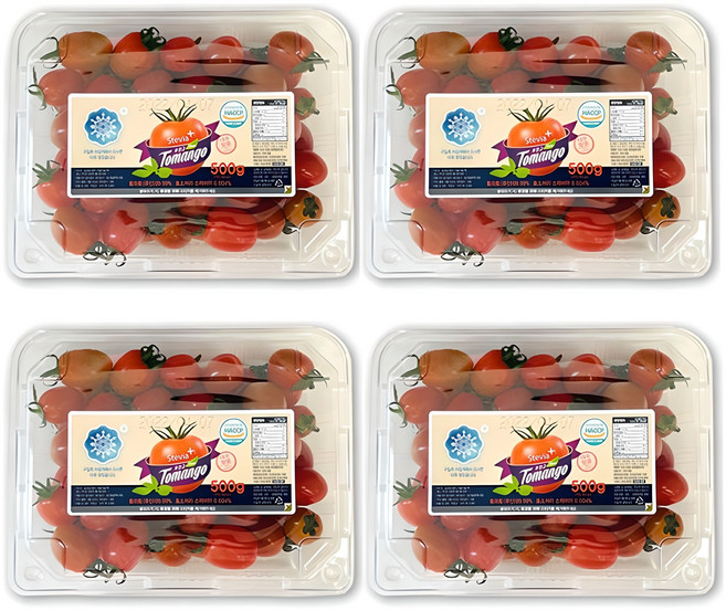 생생스토리 스테비아 대추방울토마토 대추토망고, 500g, 4개