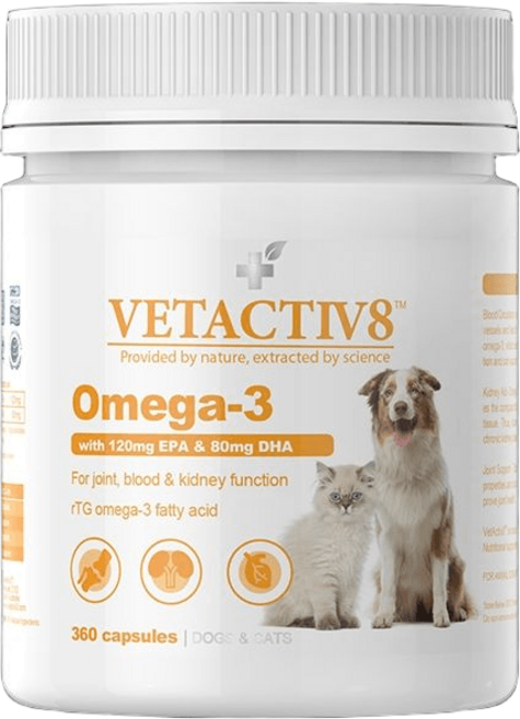 벳액티브8 오메가3