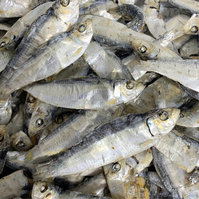 울돌목 고급 다시용 디포리 700g 지퍼백 포장, 1개, 700g(1개)