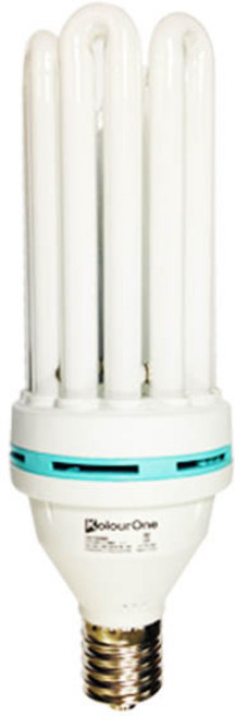 우리조명 장수 39베이스 램프 EFPE100W, 주광색, 1개