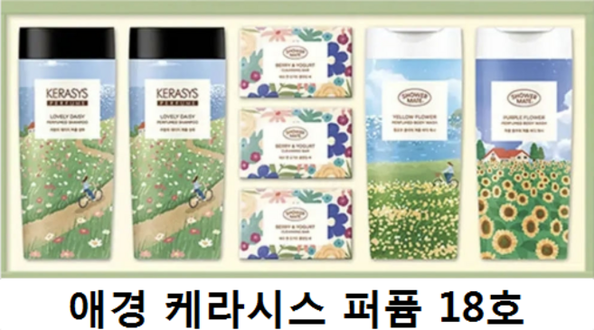 애경 케라시스 퍼퓸 18호 선물세트, 1세트