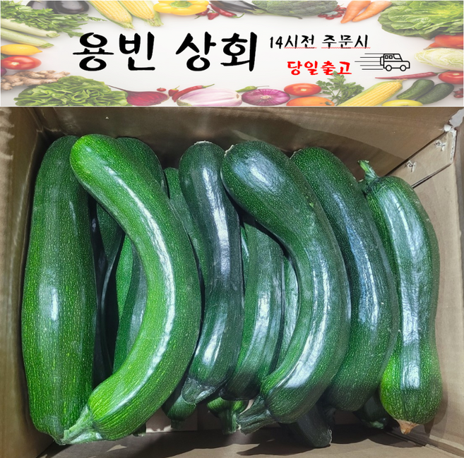 ( 용빈 상회) 국내산 쥬키니호박 주키니호박 돼지호박 못난이호박 상등급 3kg 5kg 10kg내외, 1개