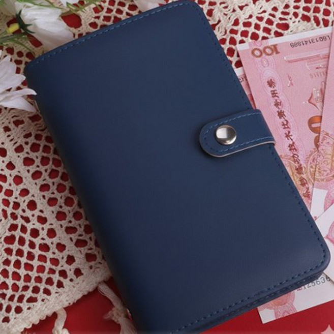 현금 바인더 지폐 보관함 화폐 수집 수납함 달러북, 1개, 블루