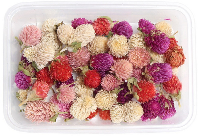 화연양화 프리저브드 드라이플라워 꽃세트 12종 수공예 DIY, 10 파스텔 천일홍 믹스