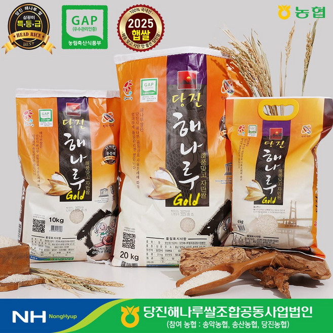 [출고당일도정] 2025년산 골드쌀 [삼광미 특등급], 10kg, 1개
