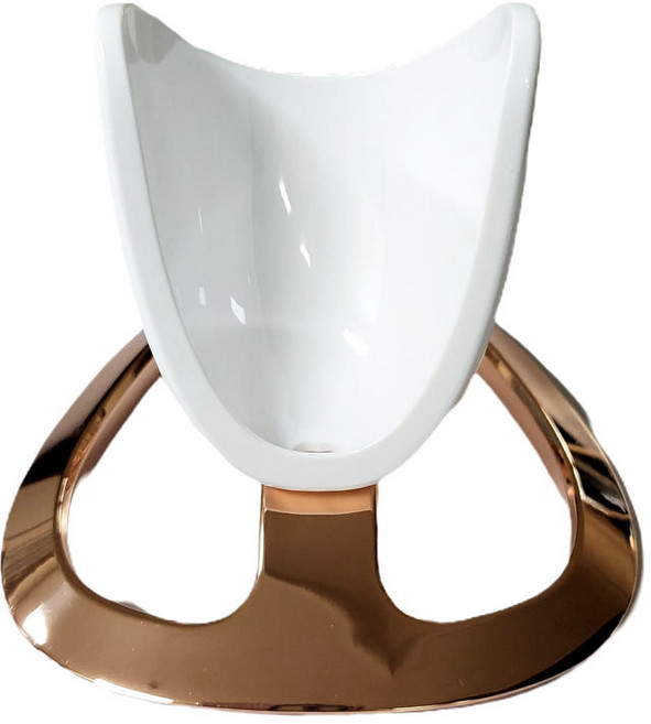 뉴스킨 에이지락 루미스파 iO 로즈골드 스탠드