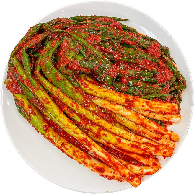 농가살리기 전라도 나주골 수제 통 대파김치, 1박스, 1kg