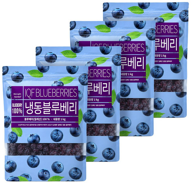 [지퍼팩] 무첨가 100% 프리미엄등급 냉동블루베리, 4개, 1kg(칠레)