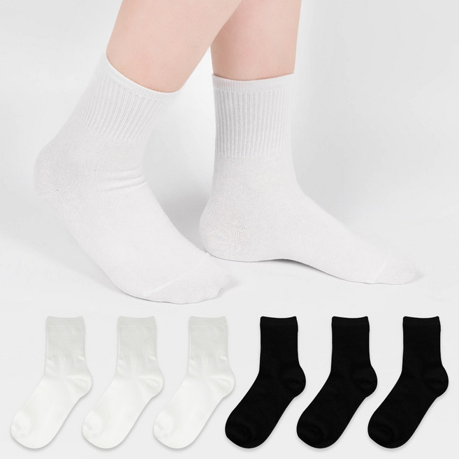 삭스너 여성용 컬러플 하프골지 중목 양말 6켤레 SET