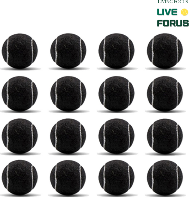 리브포어스 테니스공 의자 발커버 16개입 ( 의자 4개용 ) 다리 캡 체어슈즈 바닥 긁힘 층간 소음 방지, 블랙_16P (의자4개)