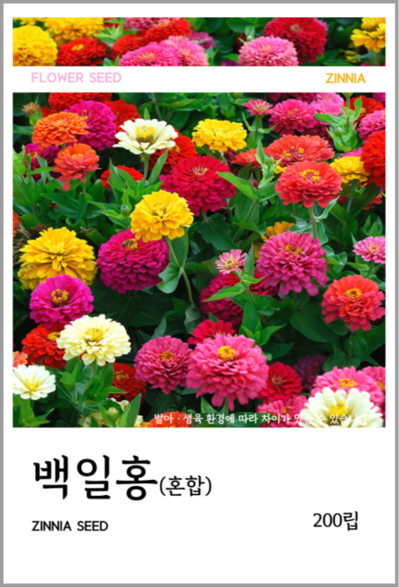 백일홍(혼합) 씨앗 200립, 1개