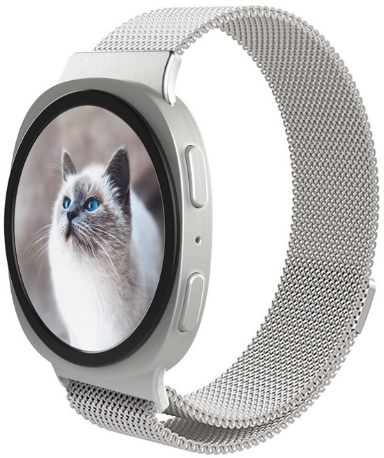 로랜텍 갤럭시워치 호환 마그네틱 메탈 스트랩, 실버, 1개