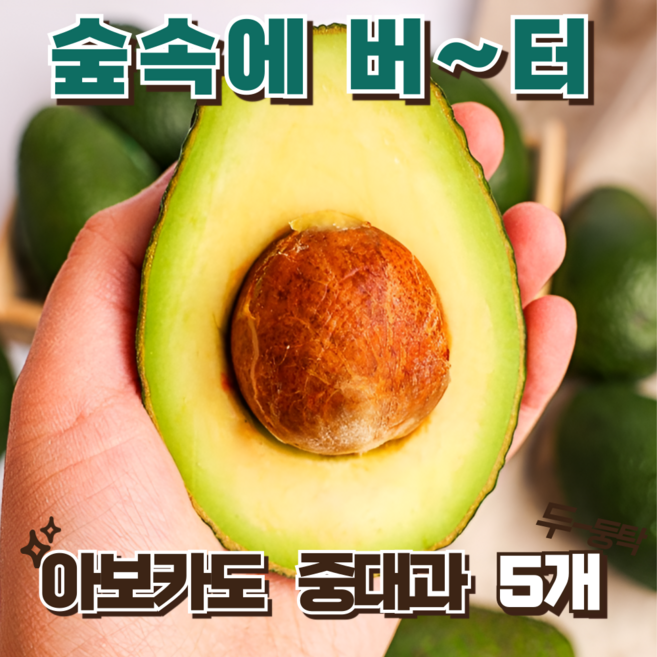 신선한 아보카도 고소한 풍미, 1박스, 아보카도 중대과 (5개)