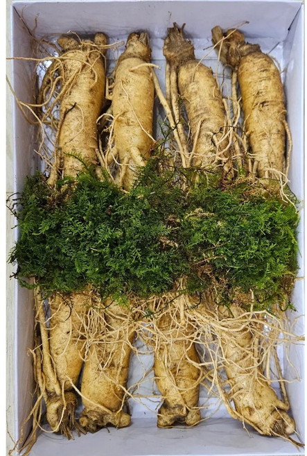 국산 풍기 인삼 6년근 5년근 최상품 8뿌리내외 보통굵기 실속 종이상자 선물포장 한보인삼사, 650g, 1세트