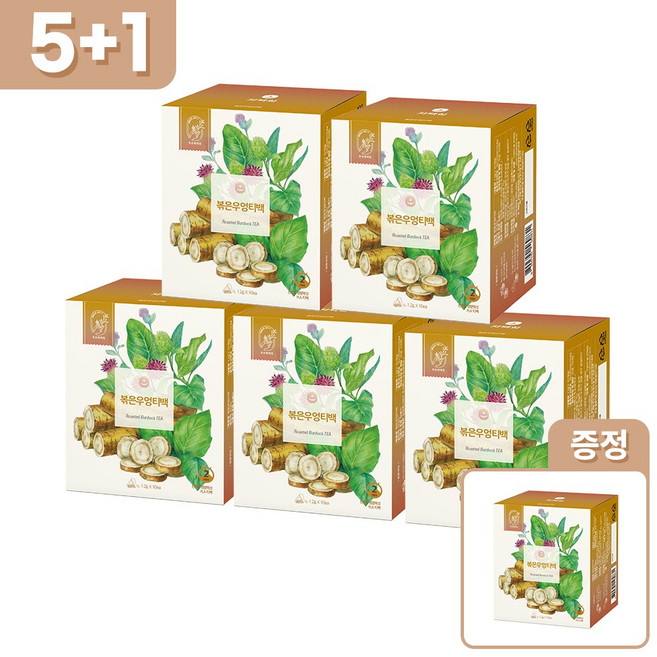 [5개 선택시 1개 더] 두손애약초 볶은우엉티백 친환경 PLA 개별 포장, 10개입, 5박스, 1.2g