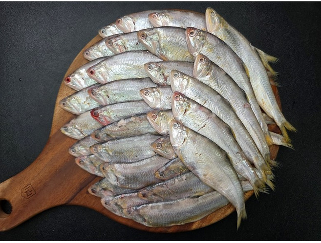 10위 - 국내산 제철 급냉 밴댕이 1kg (30-40미내외) 횟감가능 회무침, 1개, 1kg(30-40미 쯤)