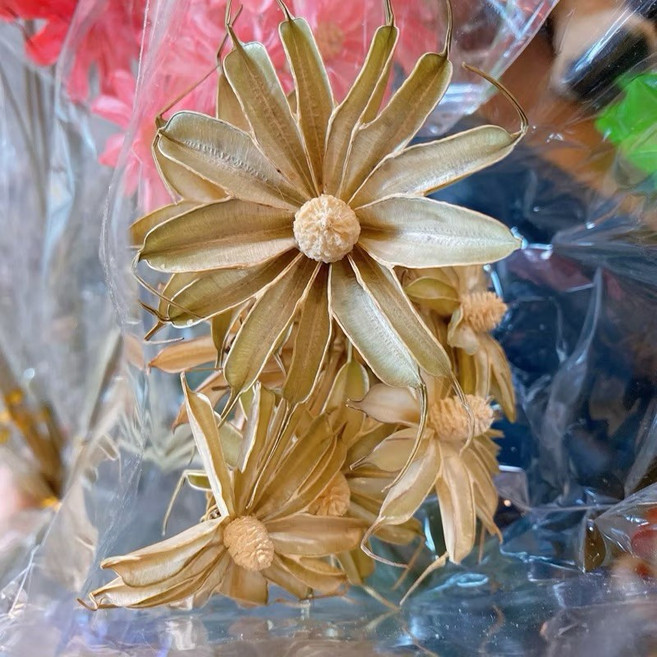 乾燥花束 星辰滿天星情人草卡斯比亞小雛菊 居家佈置拍照道具, 原色/小雛菊/10支