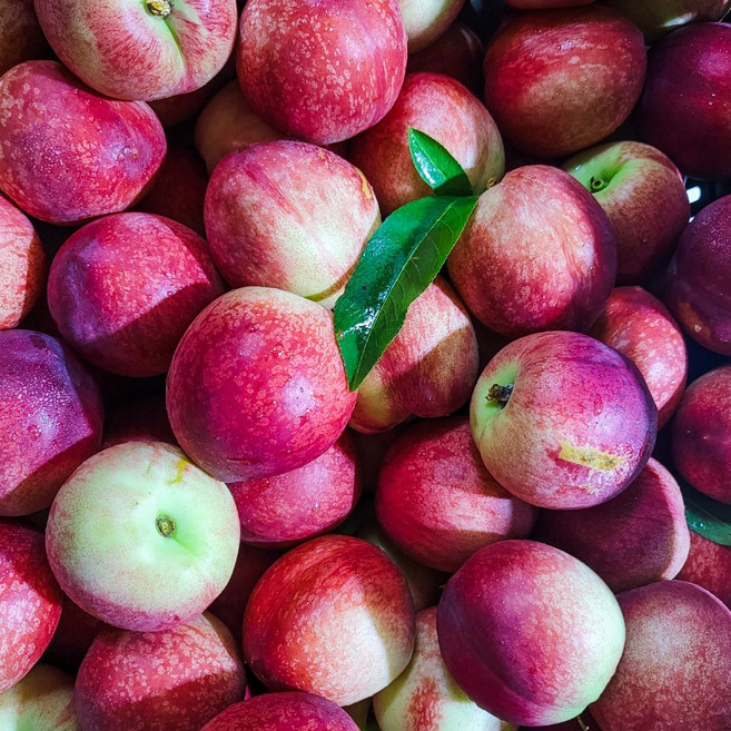 산지프라임 2024 당도가높은 경북신비복숭아 영천신비복숭아 제철과일 복숭아 6월중순발송, 1박스, 신비복숭아 소과2kg