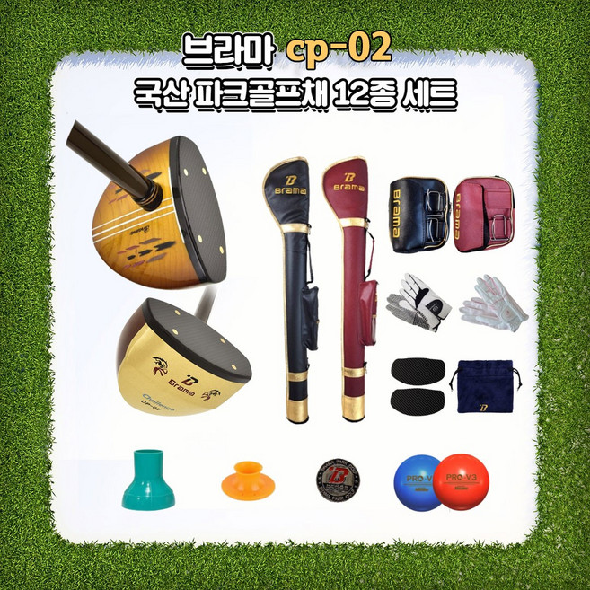 브라마 경기용 파크골프채 CP-02플러스 초보자/입문자/동호인용 국산 4성급 12종세트, 85cm, 블랙, 남성용