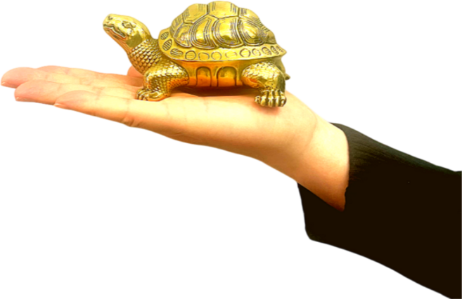 황금거북이 풍수 무병 장수 집들이 인테리어, 중형, 1개