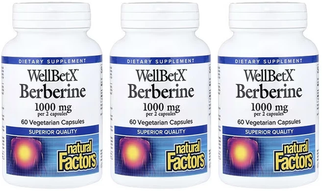 네츄럴펙터스 3개X WellBetX 베르베린 베지 캡슐 60정(캡슐 1정당 500mg), 3개, 60정 - 쿠팡