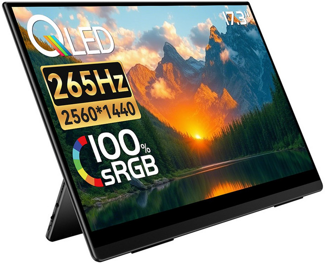EHOMEWEI 이홈웨이 R시리즈 16 17.3 18인치 OLED QLED IPS 4K 2.5K 휴대용 모니터 DCI-P3 120Hz 265Hz 게이밍 맥북 듀얼모니터, RQHG-173NW, 43.94cm